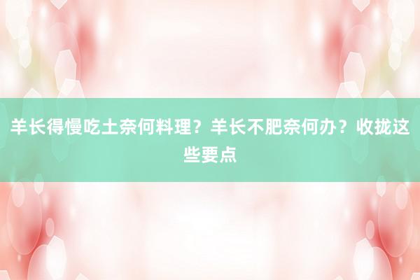 羊长得慢吃土奈何料理?羊长不肥奈何办?收拢这些要点